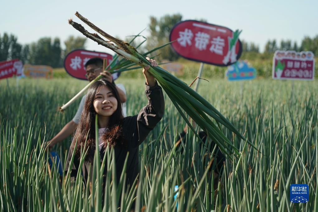 乐游棋牌官网最新